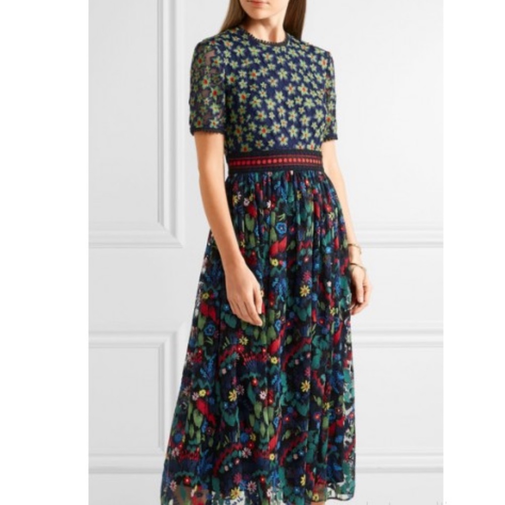 Embroidered Saloni dress, NWT